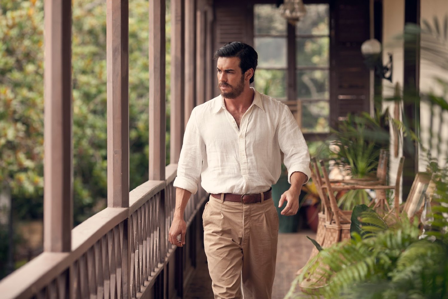 雪中的棕榈树剧照的剧照