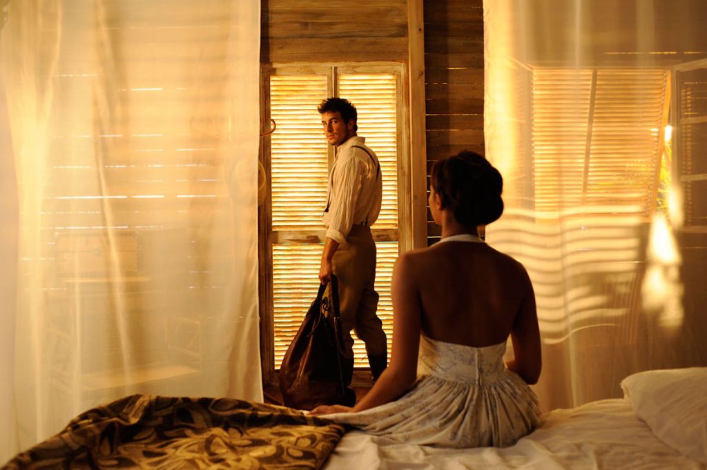 雪中的棕榈树剧照的剧照