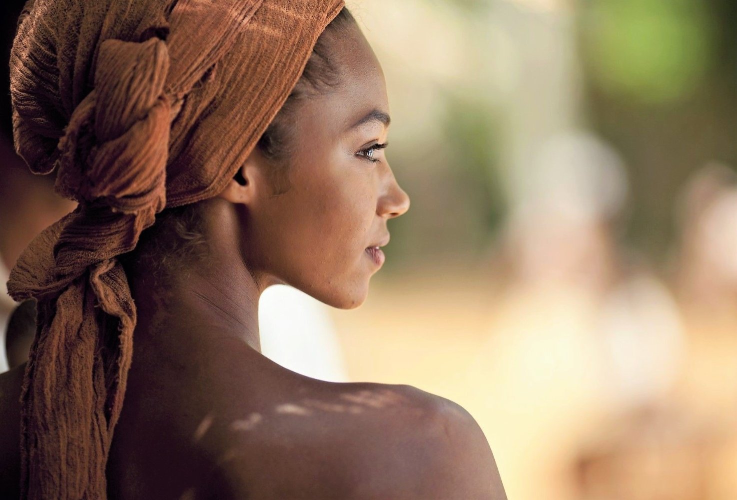 雪中的棕榈树剧照的剧照