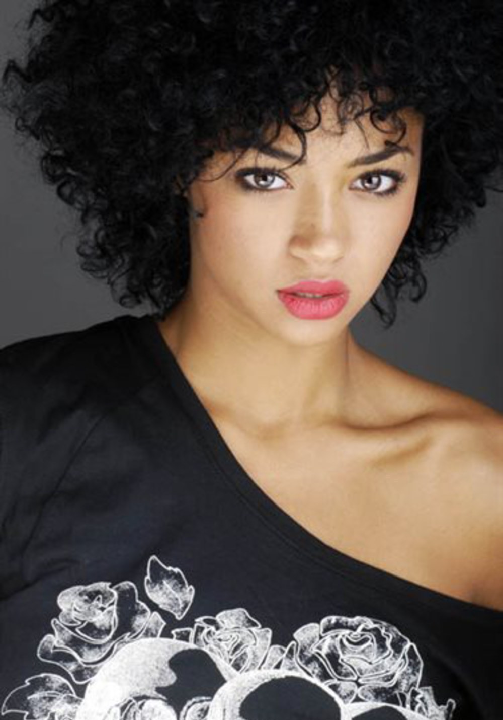 雪中的棕榈树剧照的剧照