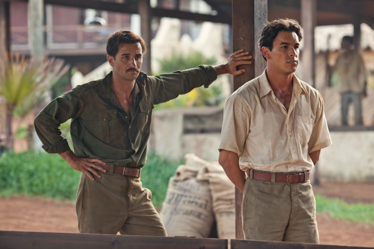 雪中的棕榈树剧照的剧照