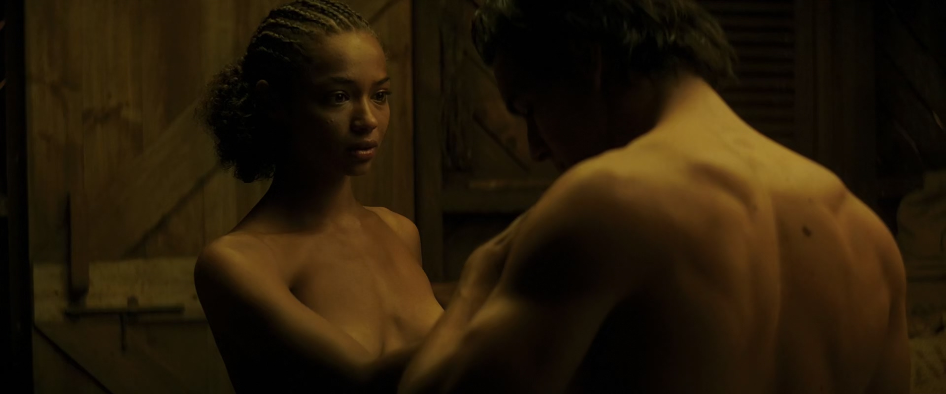 雪中的棕榈树剧照的剧照