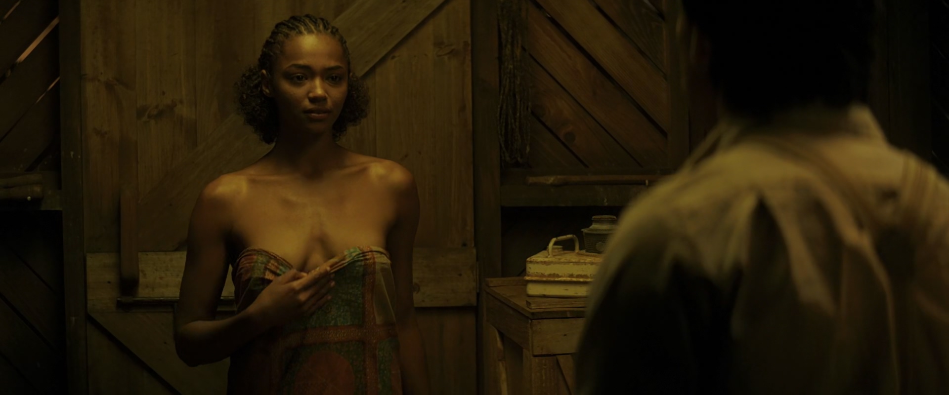 雪中的棕榈树剧照的剧照