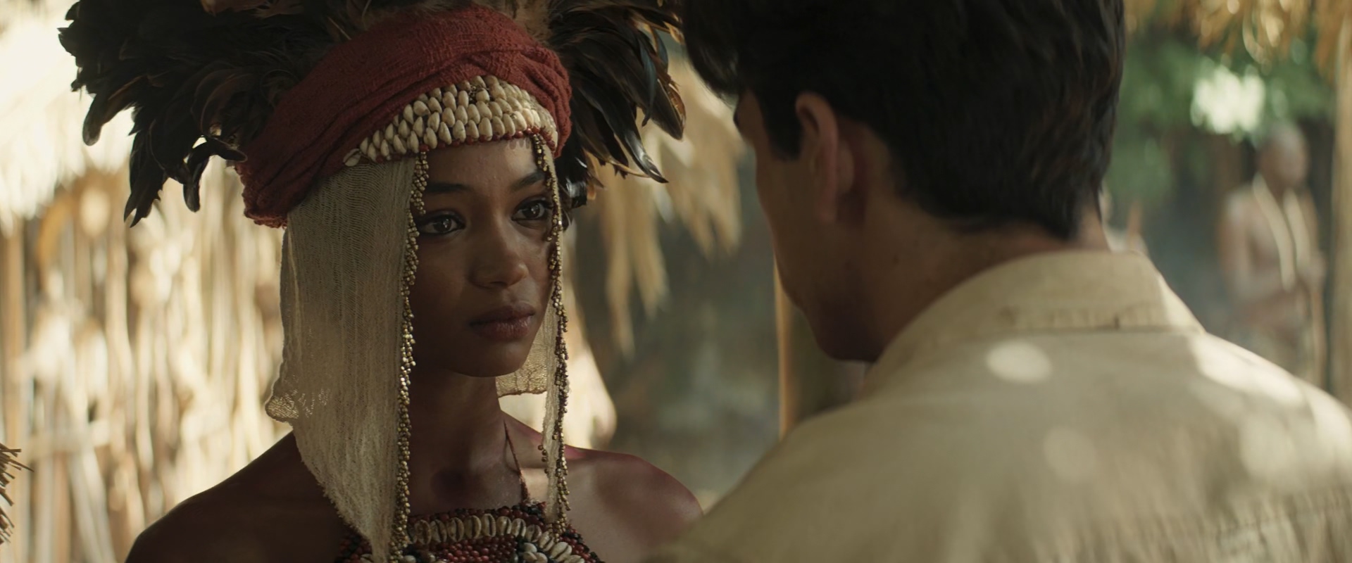 雪中的棕榈树剧照的剧照