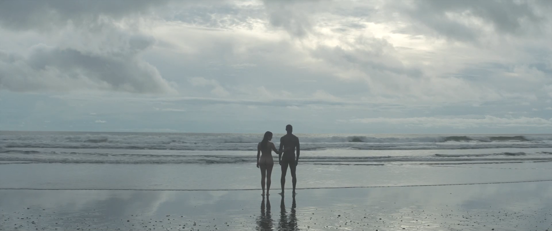 雪中的棕榈树剧照的剧照