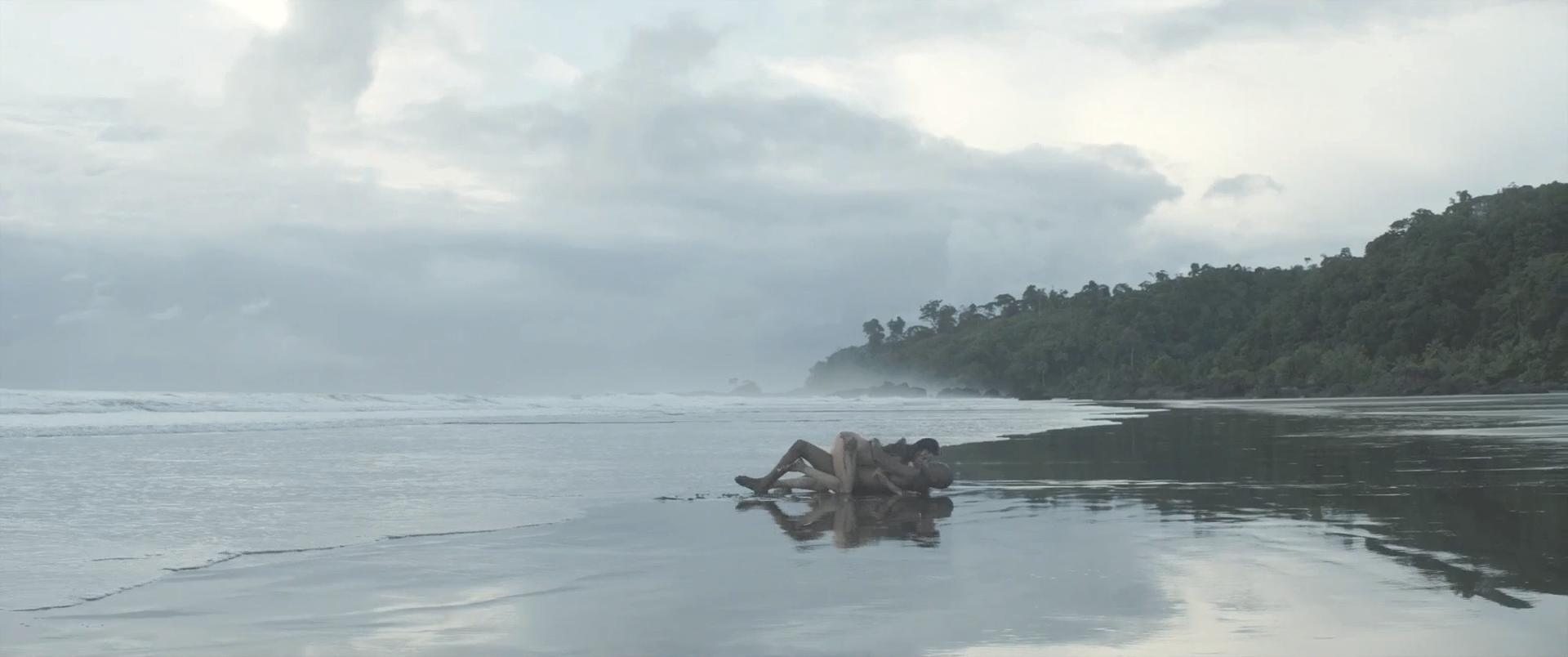 雪中的棕榈树剧照的剧照