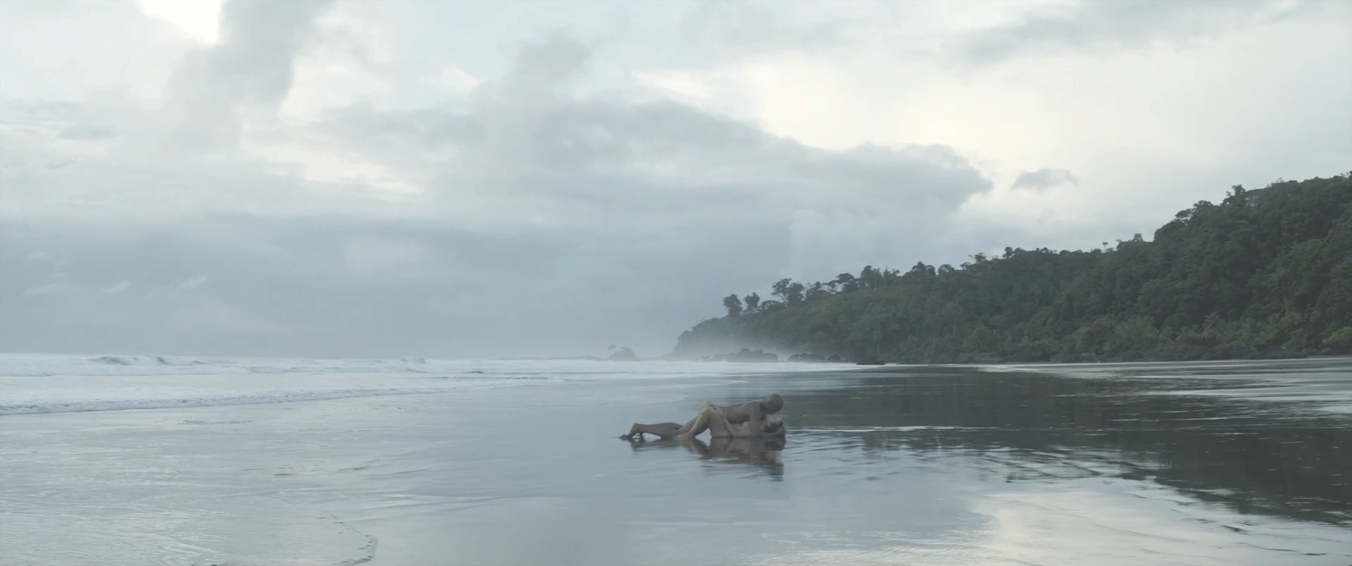 雪中的棕榈树剧照的剧照