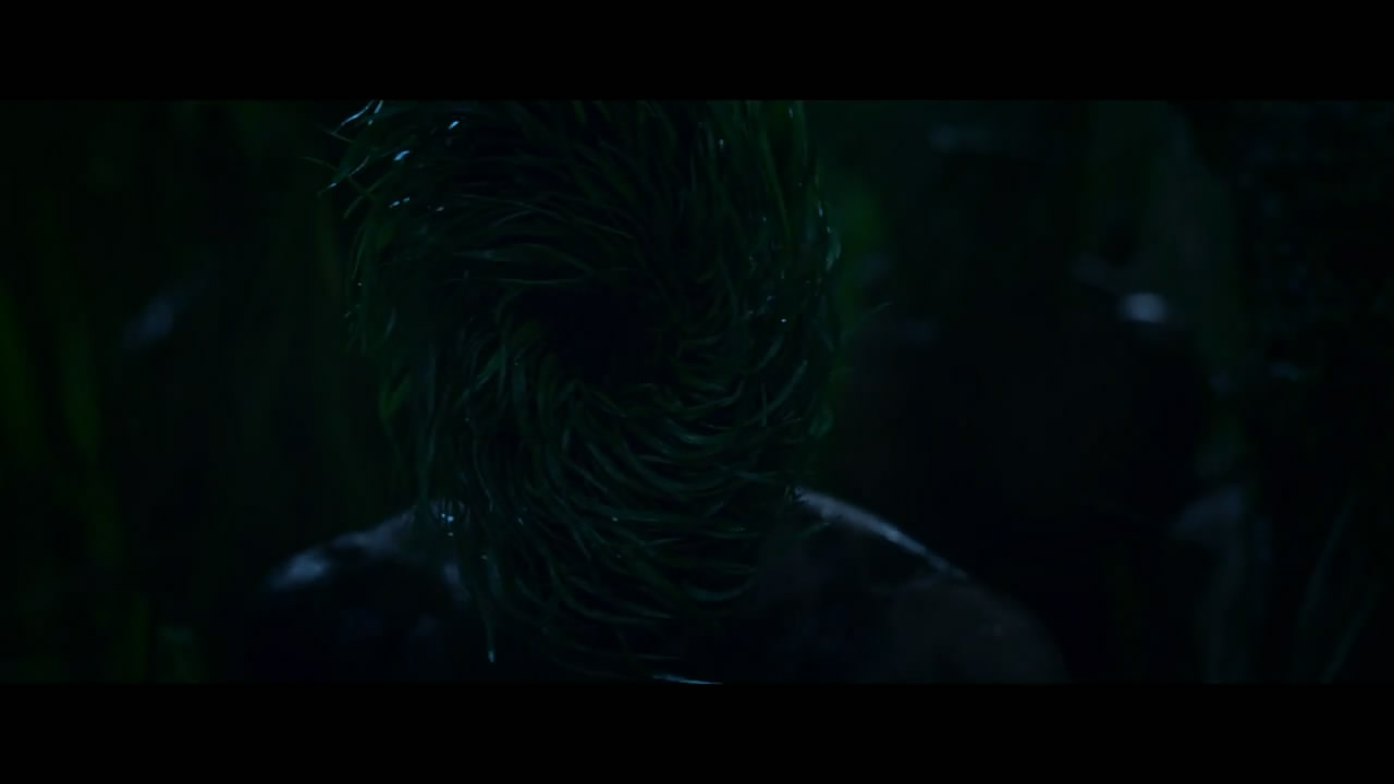 高草丛中剧照的剧照