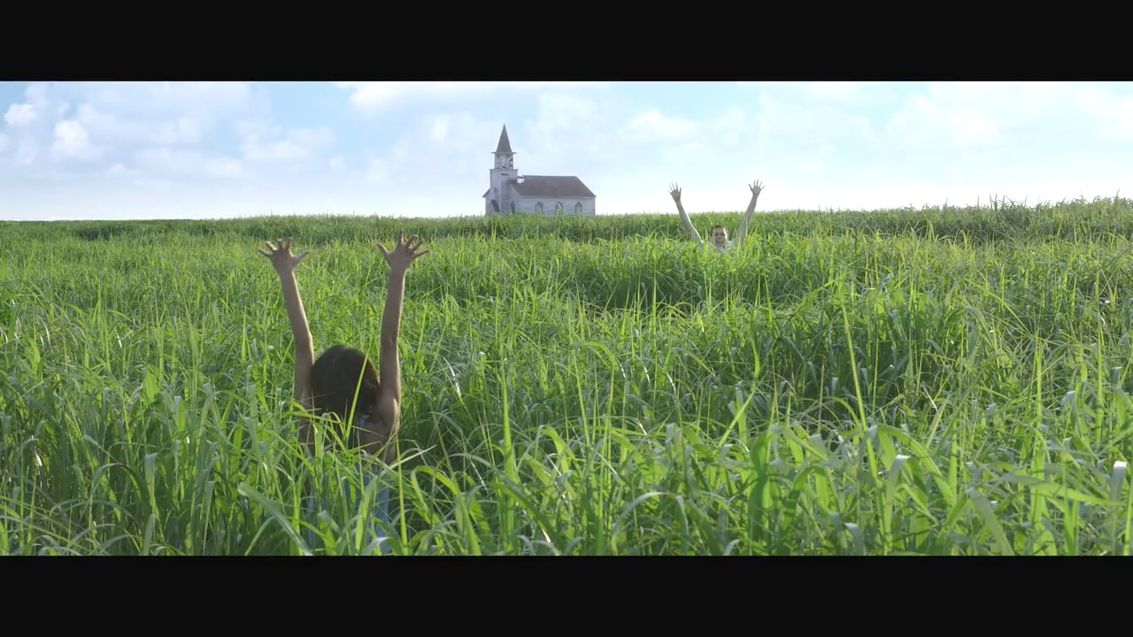 高草丛中剧照的剧照