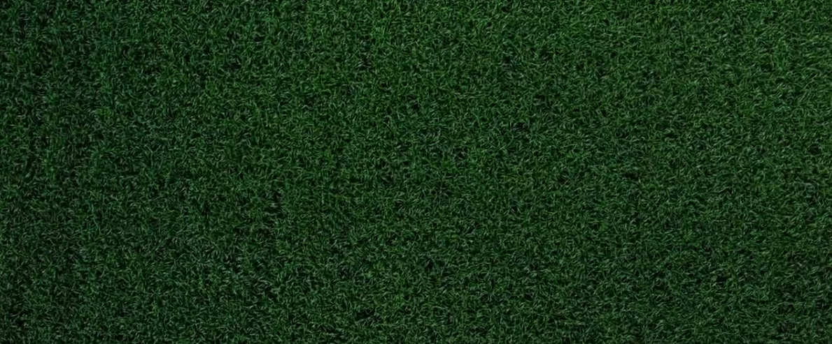 高草丛中剧照的剧照