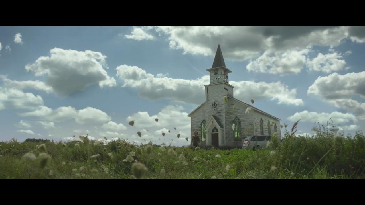 高草丛中剧照的剧照