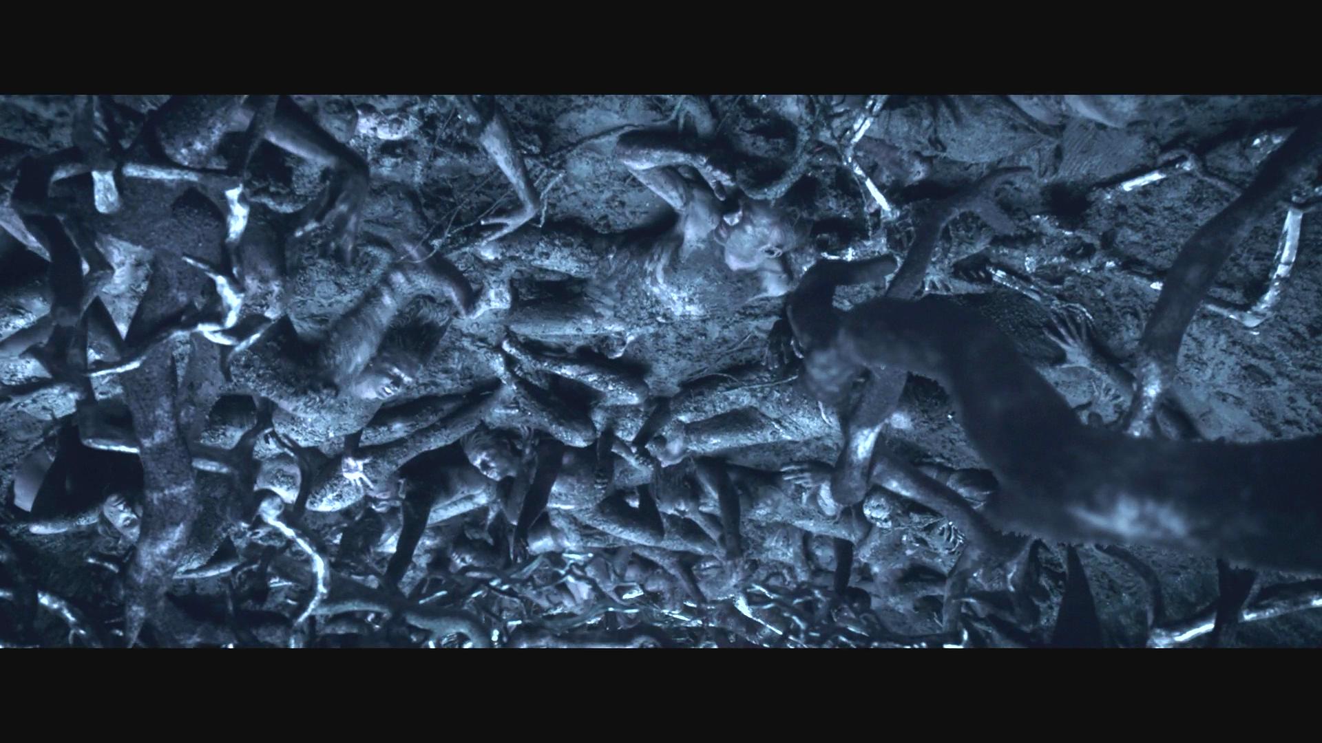 高草丛中剧照的剧照