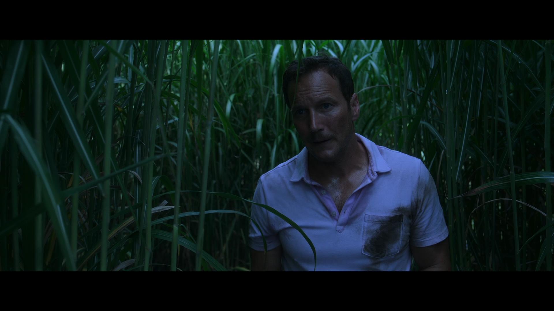 高草丛中剧照的剧照