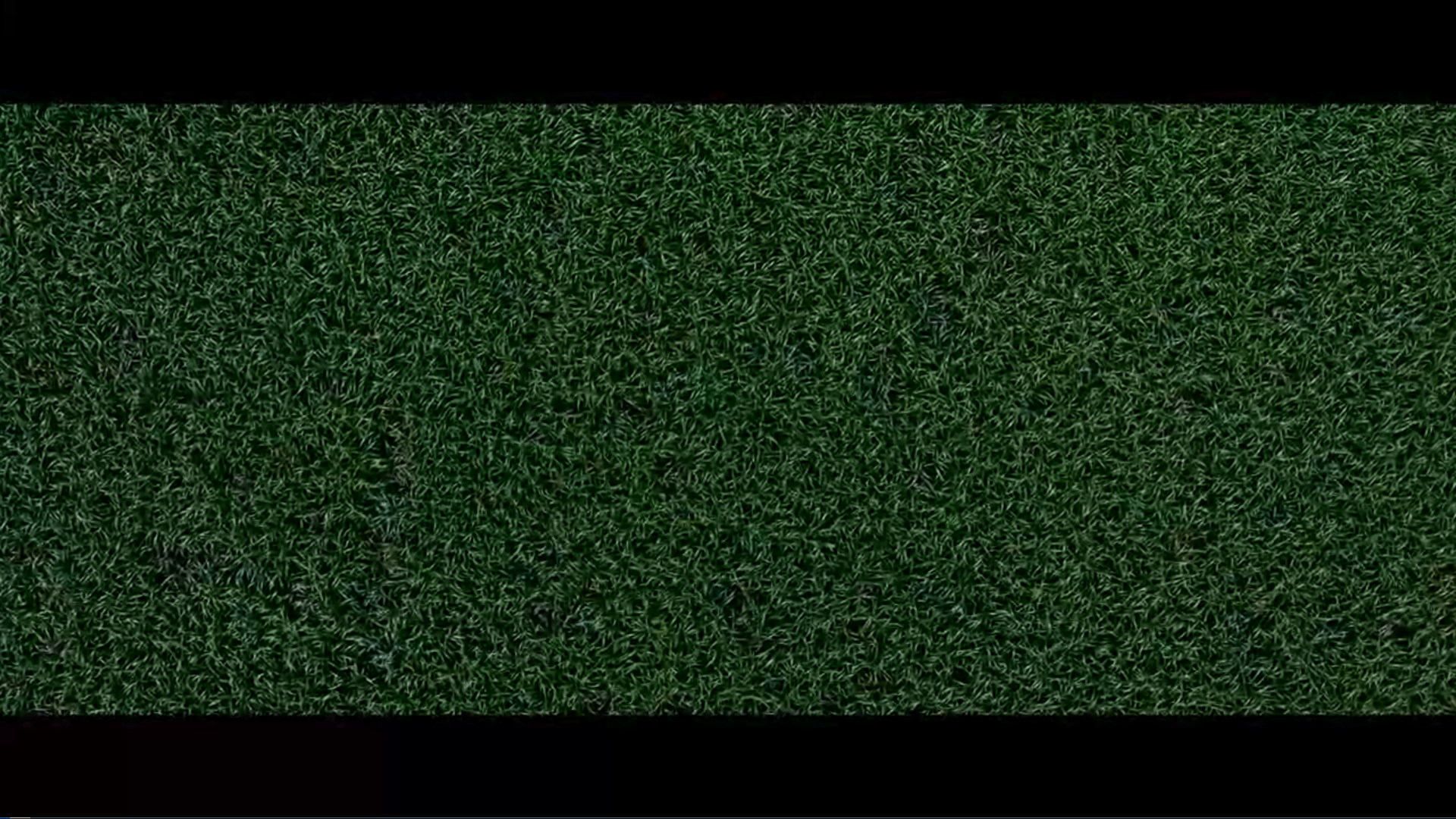 高草丛中剧照的剧照