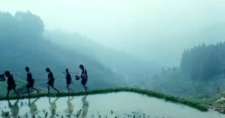 滚拉拉的枪剧照的剧照