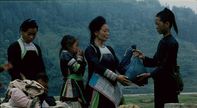 滚拉拉的枪剧照的剧照