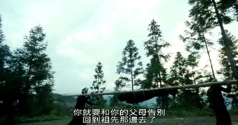 滚拉拉的枪剧照的剧照