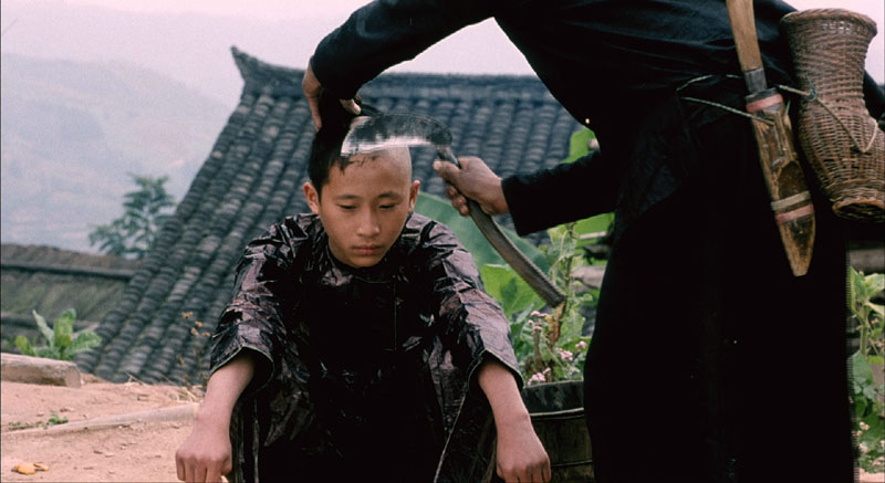 滚拉拉的枪剧照的剧照