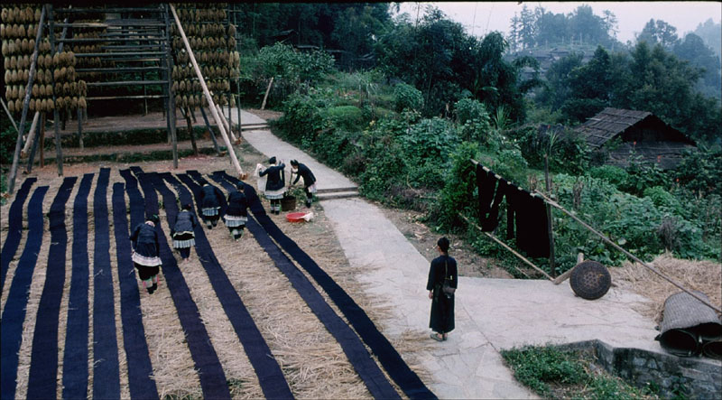 滚拉拉的枪剧照的剧照