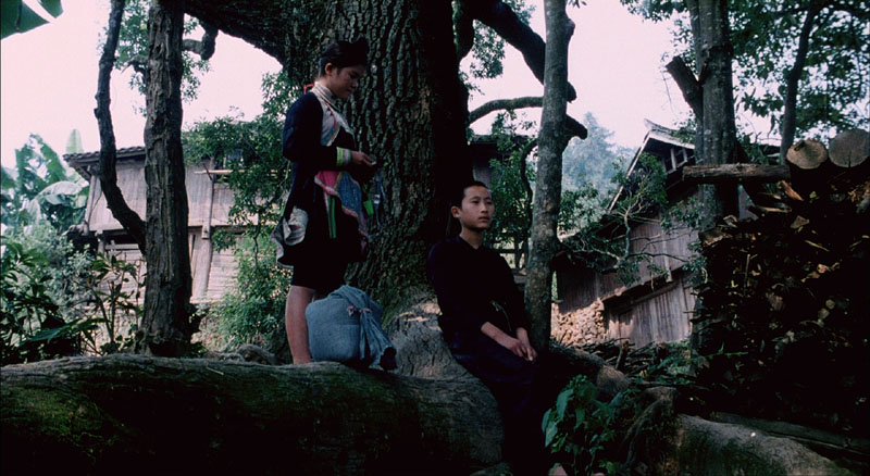 滚拉拉的枪剧照的剧照