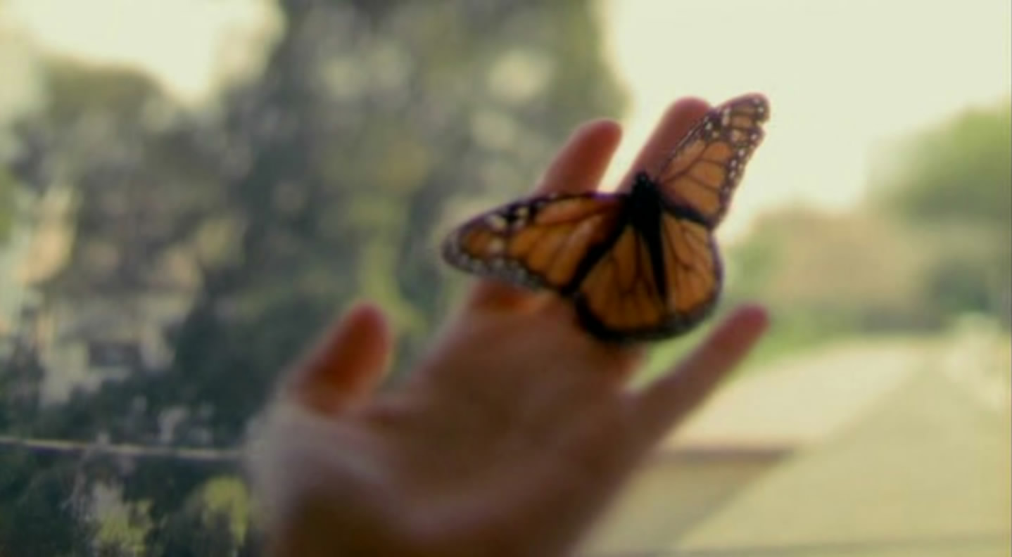 马米塔斯剧照的剧照