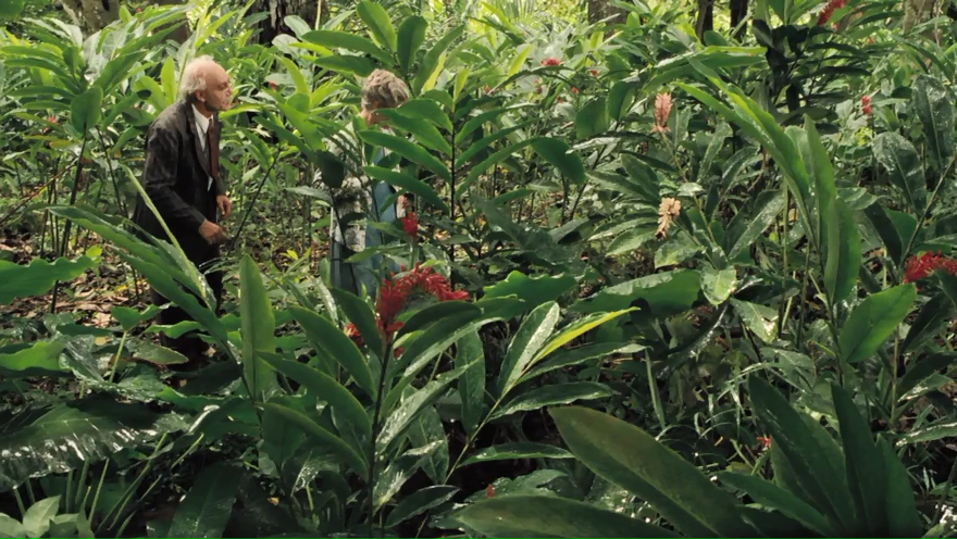 霍乱时期的爱情剧照的剧照