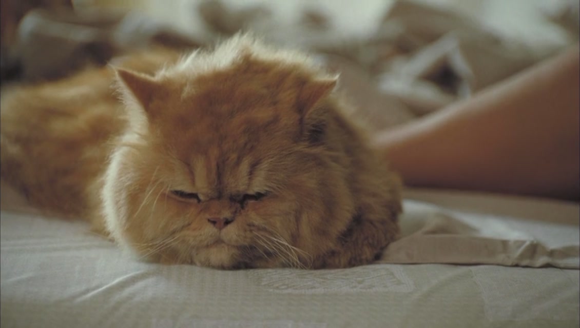 霍乱时期的爱情剧照的剧照