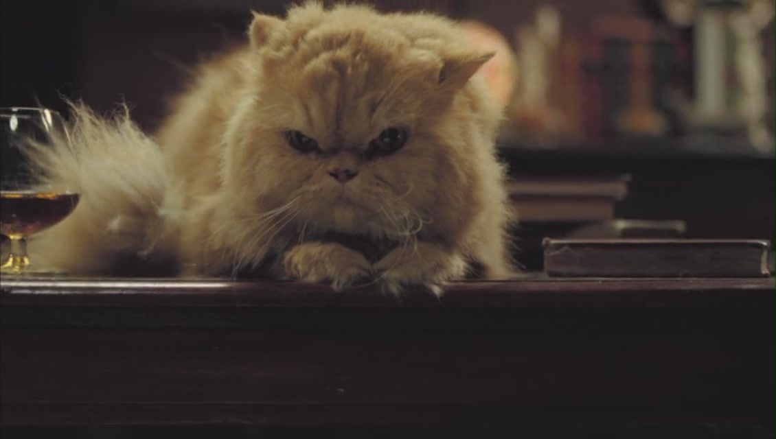 霍乱时期的爱情剧照的剧照