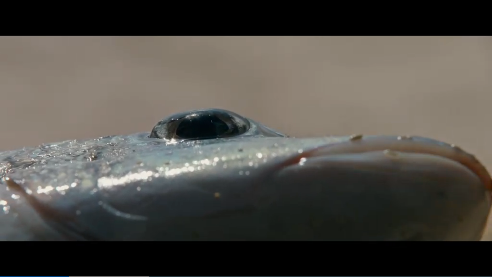 荒岛甜心剧照的剧照