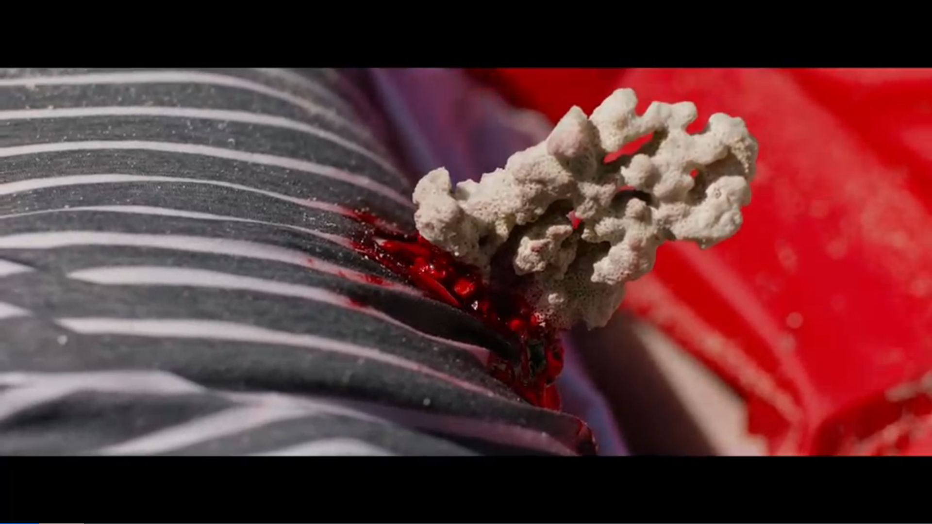 荒岛甜心剧照的剧照