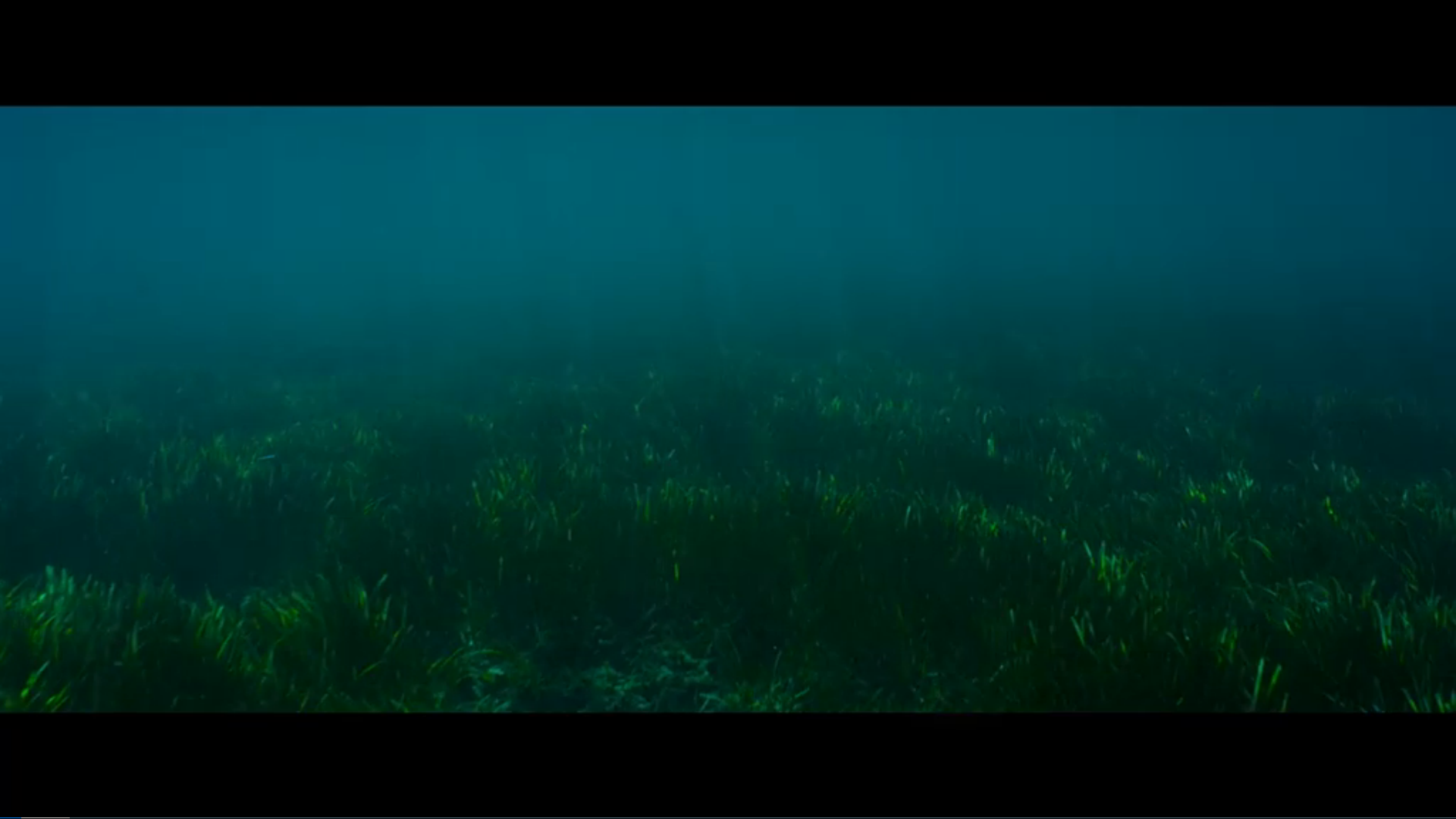 荒岛甜心剧照的剧照