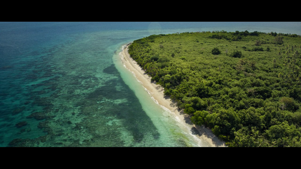 荒岛甜心剧照的剧照