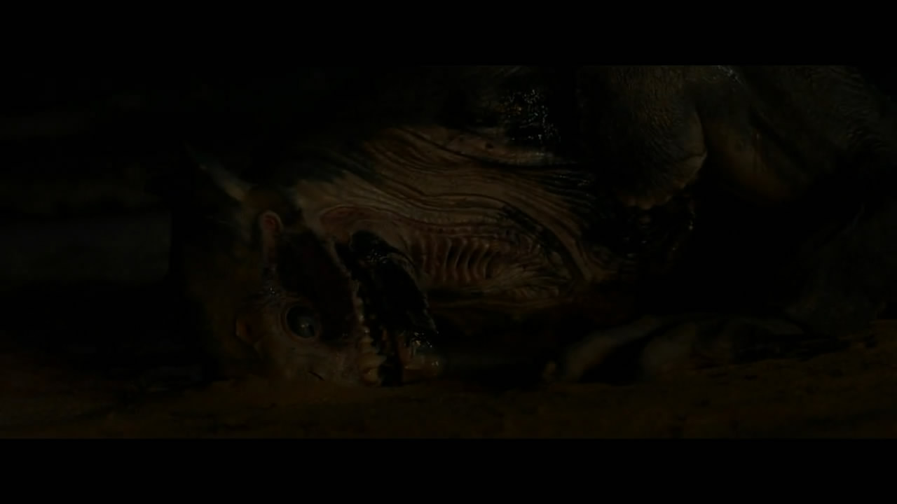 荒岛甜心剧照的剧照