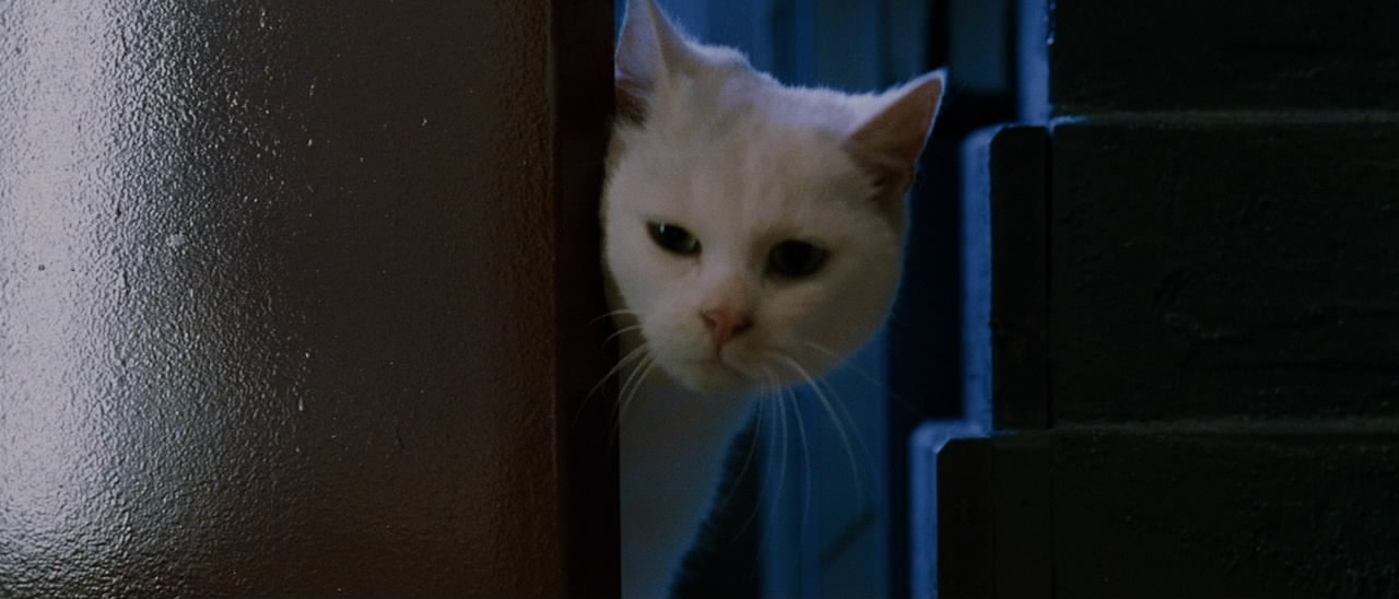 八面埋伏剧照的剧照