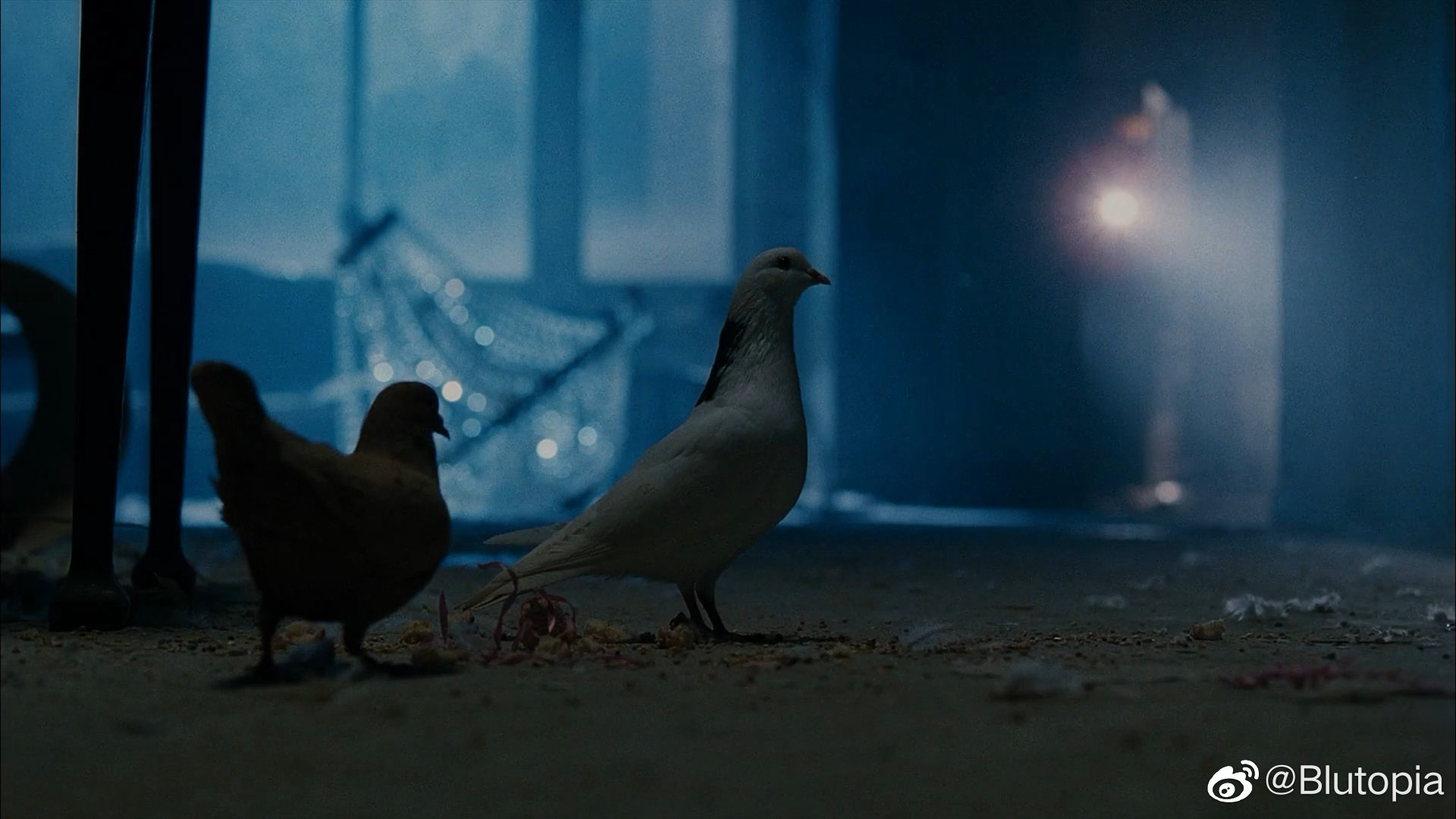 八面埋伏剧照的剧照