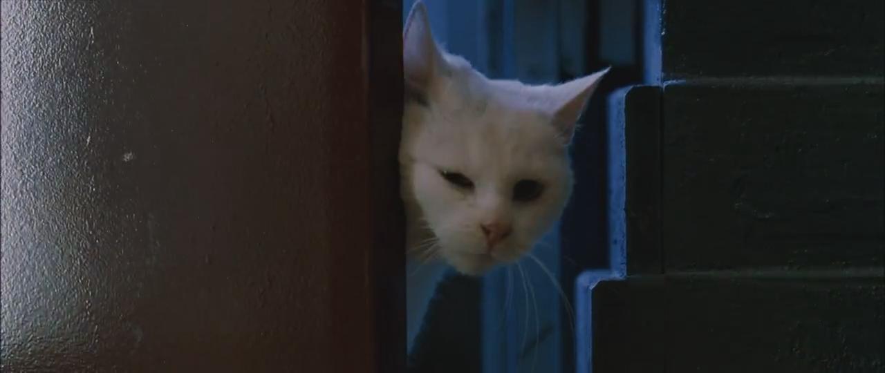 八面埋伏剧照的剧照