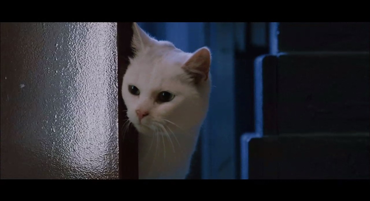 八面埋伏剧照的剧照