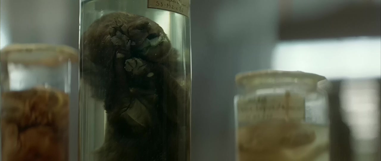 暗流剧照的剧照