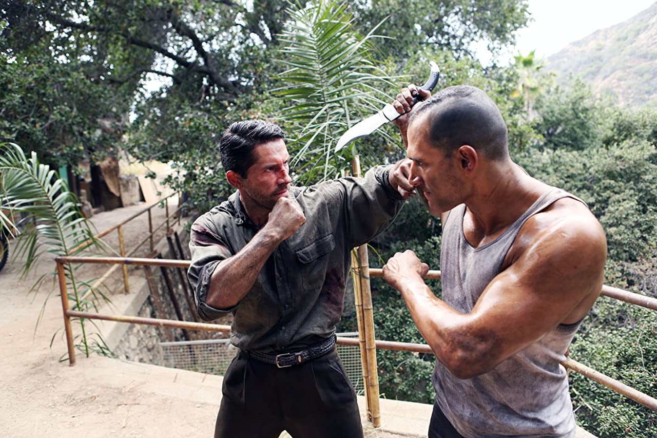 流浪狗剧照的剧照