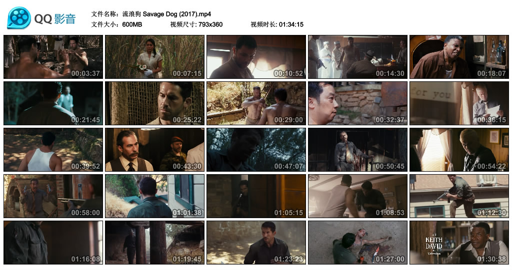 流浪狗剧照的剧照