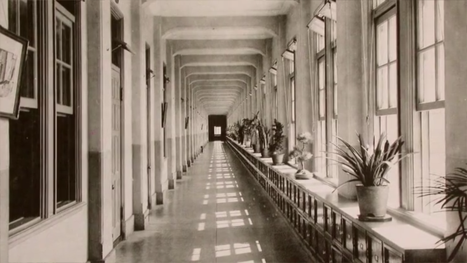 湾生回家剧照的剧照