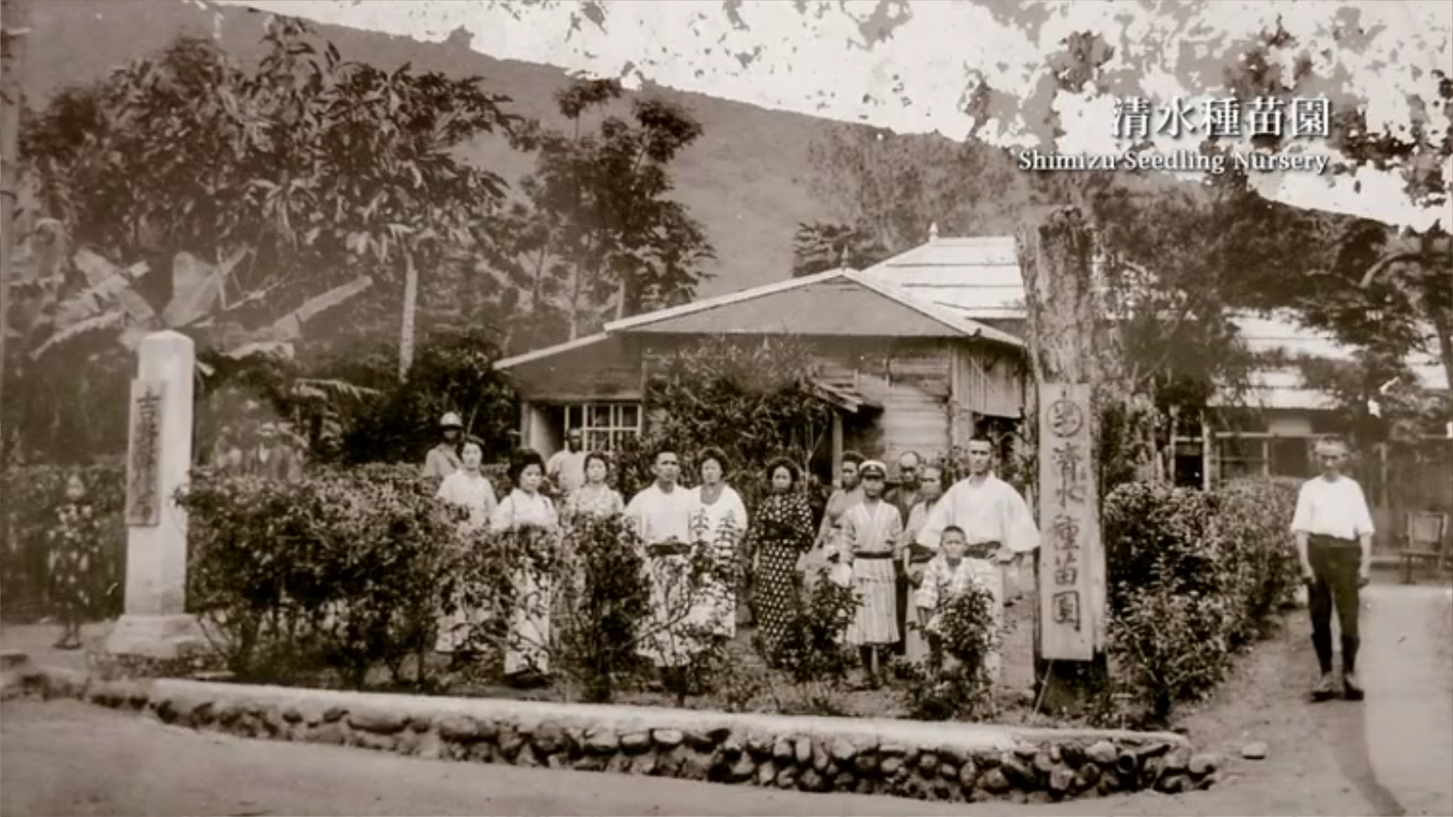 湾生回家剧照的剧照