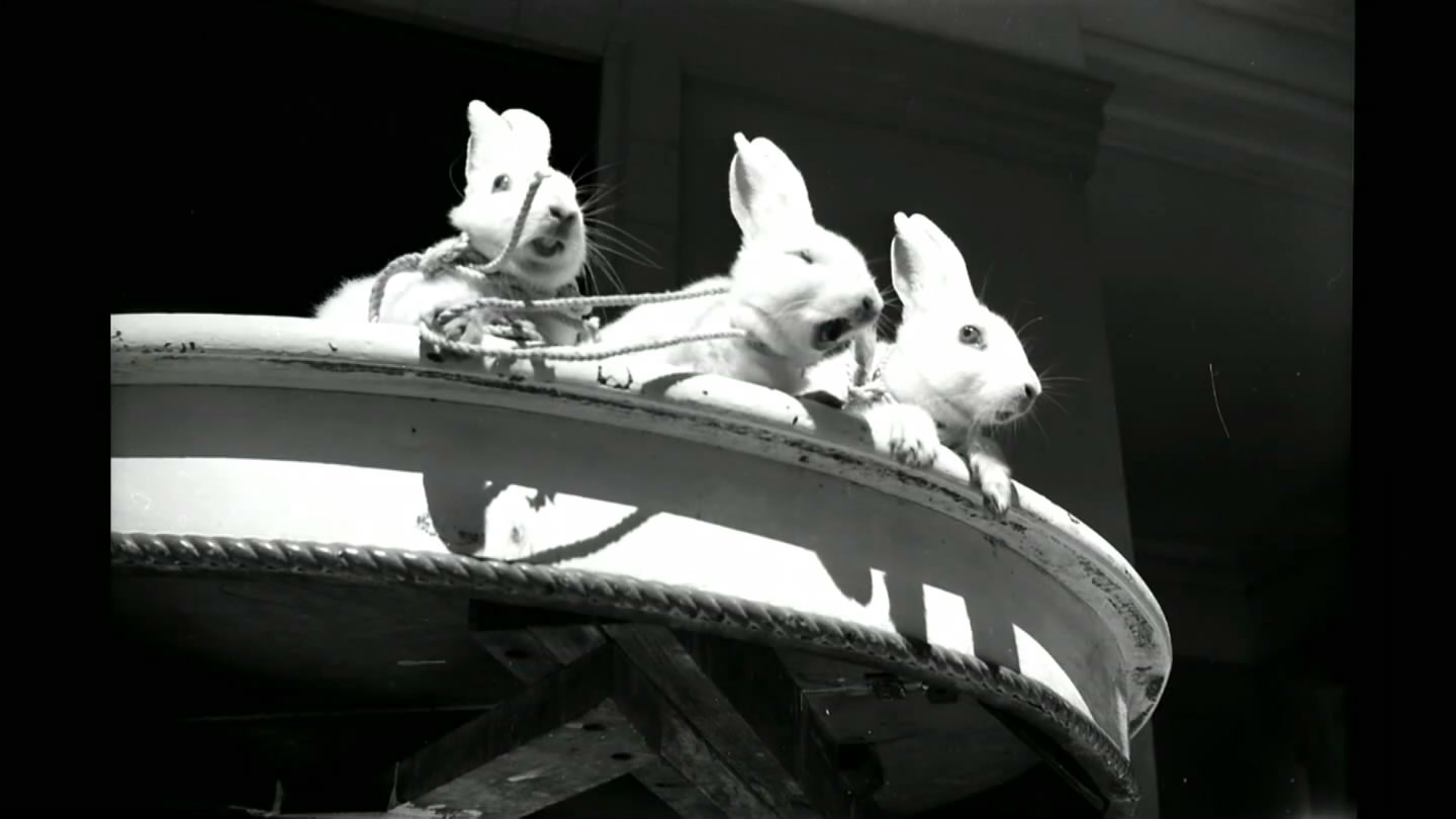 薇薇安·迈尔：谁动了保姆的照片剧照的剧照