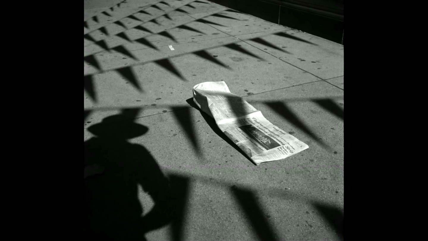 薇薇安·迈尔：谁动了保姆的照片剧照的剧照