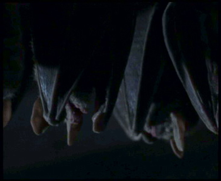 教堂魅影剧照的剧照