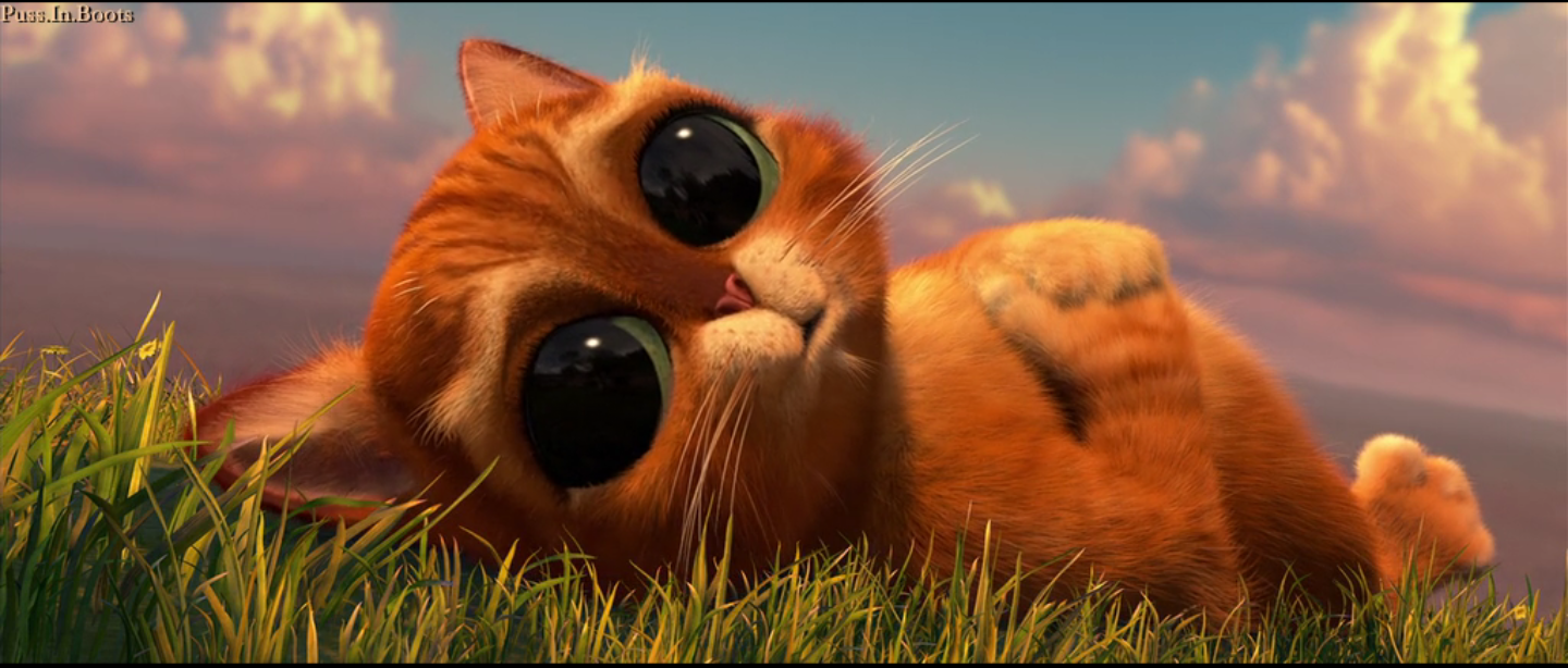 穿靴子的猫剧照的剧照