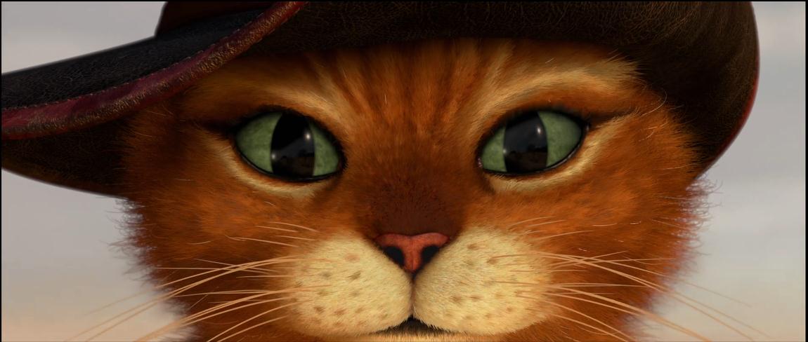 穿靴子的猫剧照的剧照