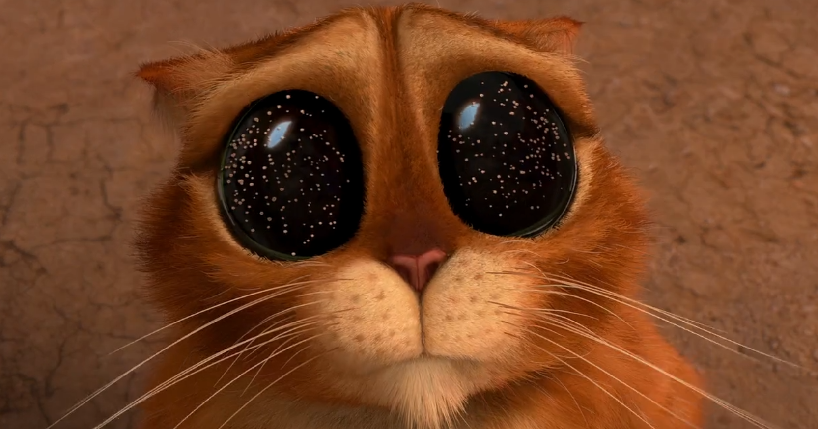 穿靴子的猫剧照的剧照