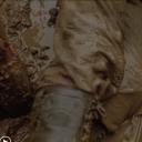 新西线无战事剧照