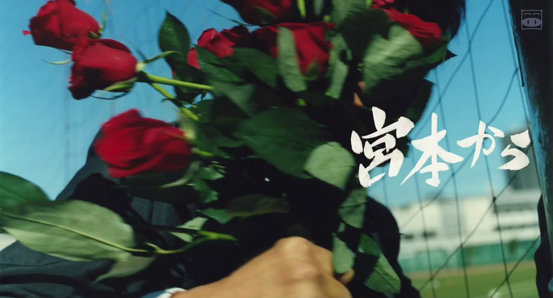 从宫本到你剧照的剧照